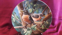 Amerikai vándorrigós porcelán dísztányér, madaras tányér (L3386)