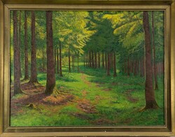 Viktor Olgyai (1870 - 1929): forest lights c. Landscape, painting (50708)