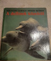 Gewalt - money: dolphins up close, recommend!