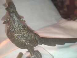 Bronze war bird peacock