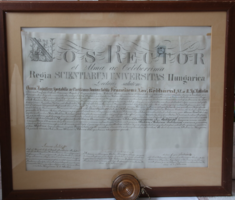1864 Jedlik Ányos sajátkezű aláírásával Gebhardt Xavér Ferenc híres orvosunk díszoklevele RRR