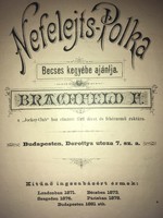 /1881/ Nefelejts-Polka Becses kegyébe ajánlja. Brachfeld F.