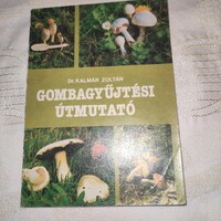 Mushroom collecting guide