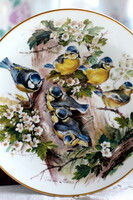 Dísztál, fali tál, gyűjtői tál, Ursula Band Kék cinke testvérek, madaras tál, tányér,limitált széria