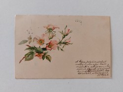 Old postcard 1899 postcard with wild rose