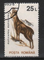 Állatok 0348 Román