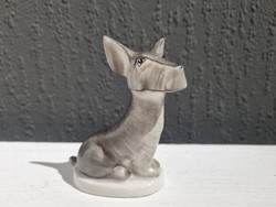 Ritka Drasche porcelán figura - skót terrier foxi kutya