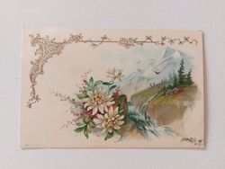 Régi képeslap 1900 levelezőlap hegyek virágok