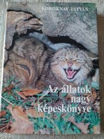 Koroknay: large picture book of animals, negotiable