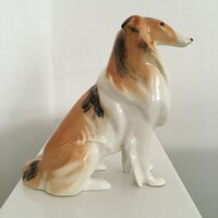 Lomonosov kutya, skót juhász