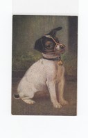 Üdvözlő képeslap kutyusok K:02 postatiszta
