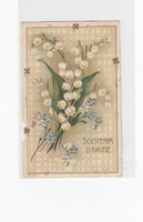 Üdvözlő képeslap virág V:01 dombornyomott egér rágta
