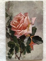 Antik, régi Rózsa virágos képeslap  - Postatiszta                                        -5.