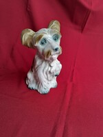 Romanian larger dog puppy nipp figurine porcelain display case display case legacy antique nostalgia