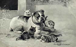 Antik Maude Serivenet metszet szerű művész képeslap kutya cicák