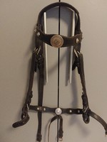 Bridle with stem