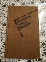 Heydecke: schatten eines unfalls, novel in German, negotiable