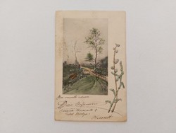 Régi képeslap levelezőlap tavaszi tájkép barka