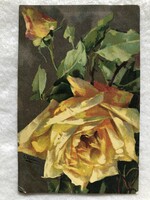 Antik   Chatarina Klein   virágos képeslap - Postatiszta                                       -5.