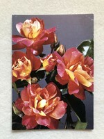 Postatiszta Virágos képeslap, Rózsa