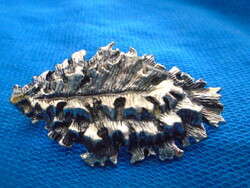 Old brooch beautiful and rare oak leaf?