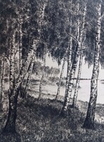 Nyírfák a Dunaparton rézkarc (teljes méret: 34x26 cm) vízparti fák