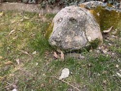 Kő kutya szobor