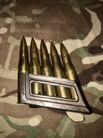 Mannlicher ammunition in a magazine frame