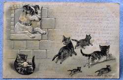 Antik dombornyomott grafikus  litho képeslap cicák kutya háza előtt játszanak ...