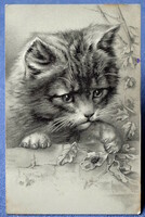 Antik dombornyomott grafikus üdvözlő litho képeslap cica  katicával