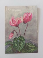Régi virágos képeslap 1963 levelezőlap pink ciklámen