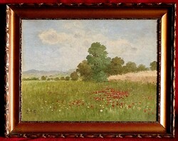 Gyula Zorkóczy (1873 - 1932): field of poppies