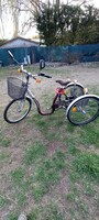 Schwinn 3-wheel adult bicycle