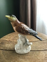 Régi Volkstedt porcelán madár figura