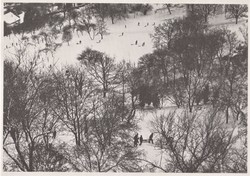 Bruno Bourel: The First Snow (postcard)