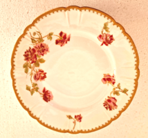 Limoges porcelain hand painted plate