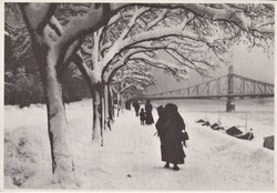 rudolf Balogh: winter Danube shore (postcard)