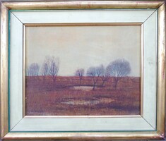 Kurucz d. István: trees in the field original