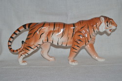 Nagy méretű tigris  ( DBZ 0072 )
