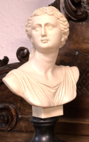 Bust depicting the mythological female figure niobium - on its own marble pedestal