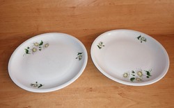 Alföldi porcelain daisy pattern flat plate in a pair, dia. 24 cm (male)