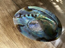 Csoda abalone, páva kagyló, polírozott felületű