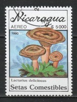 Nicaragua 0413  Mi 3003      0,30 Euró