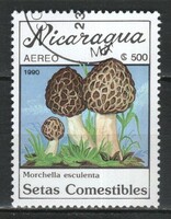 Nicaragua 0411  Mi 3001      0,30 Euró