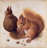 Squirrels, painting reproduction (1512 Albrecht Dürer)