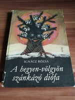 Mesekönyv, Ignácz Rózsa: A hegyen-völgyön szánkózó diófa, 1974