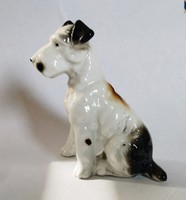 Porcelain terrier