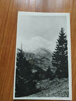 Radnai havasok, Horthy csúcs, 2305 m (1940-1945 között volt ez a megnevezés)