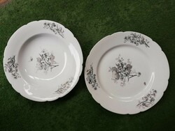 Pair of antique dallwitz porcelain plates 1840 -1850