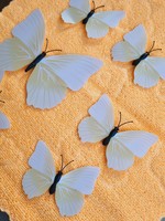 6 magnetic butterflies in one.